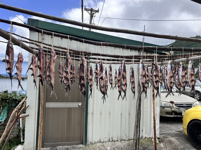 飛魚祭是雅美族的重要文化象徵,更是族人對自然、祖靈深厚感恩情感的展現。(臺東縣政府提供)