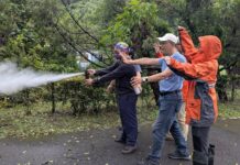 強化第一線救援與通報能量 林保署攜手南澳部落辦理臺灣黑熊救傷演練