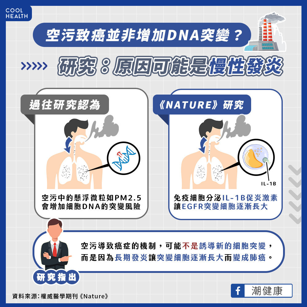 肺腺癌與EGFR突變有關 PM2.5暴露增加炎症反應