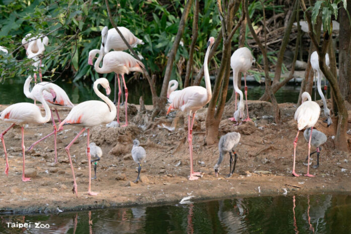 55e6439e-1f69-4962-99c9-a3e63cc14ef1-1024x684-1