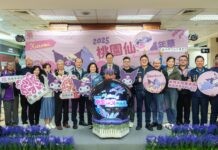 桃園仙草嘉年華11/22登場 與酷洛米相遇夢幻紫色花海