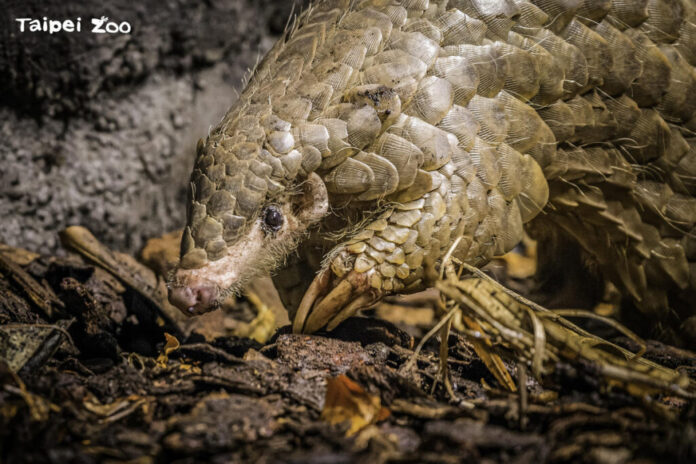 6e90ab9c-bebf-491d-a9a9-e12e158e6a69-1024x683-1