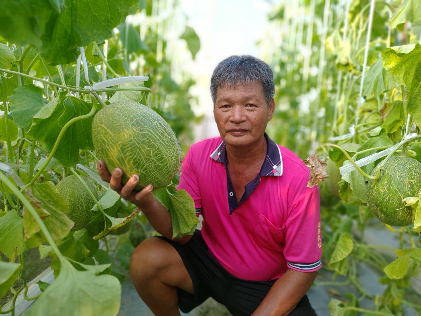 新聞圖片