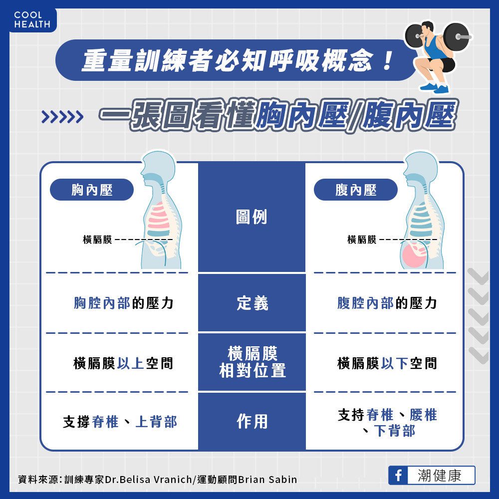 胸內壓和腹內壓有什麼不同？ 吸進肺部的氣最後都跑去哪了？