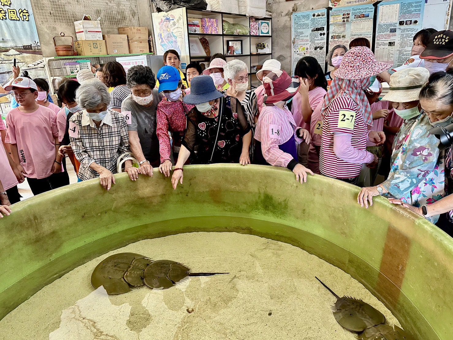 衛生局帶領長輩進入校園　老幼共學攜手成長