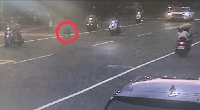 82435-605-125211680-356866617196362075261320-904488626223405096974-084935