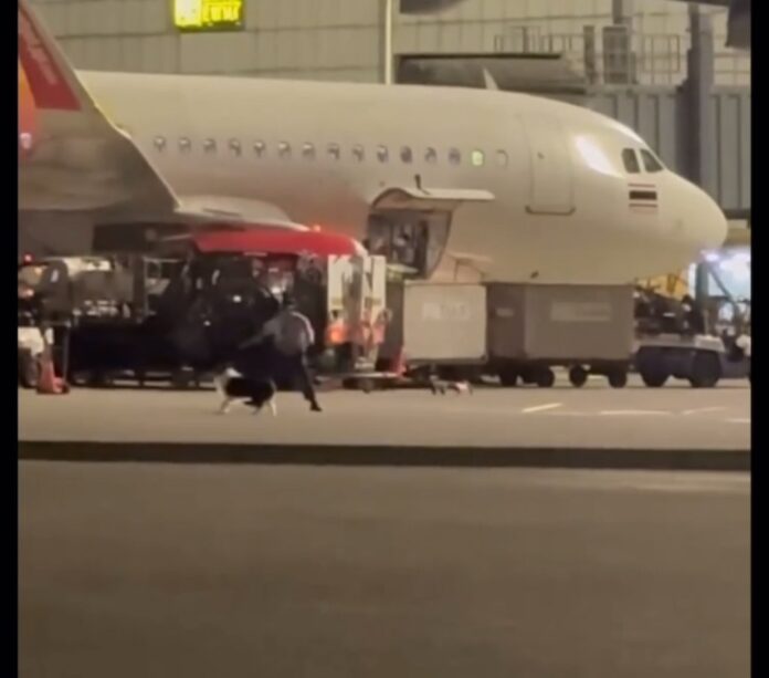 85687-570381801986990634079540442132-998552652475368595279169230085883748