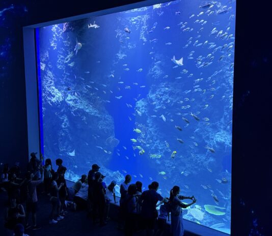 ▲台中海洋館今開幕。（圖／台中觀旅局提供）