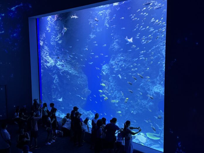 ▲台中海洋館今開幕。（圖／台中觀旅局提供）