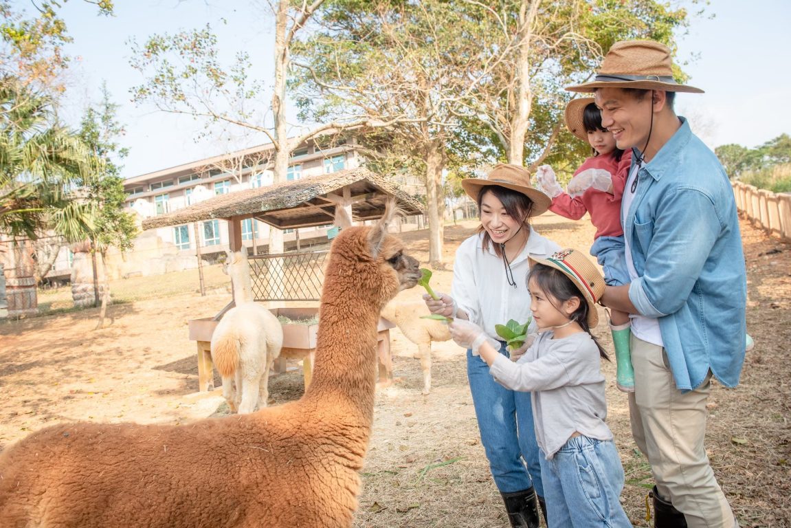 全台小學童有福了！  抗寒暖心招待六福莊入住不加價