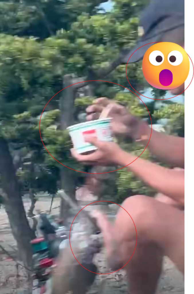 95309-548684911902577921125175885655666562657554386678256216813436363402