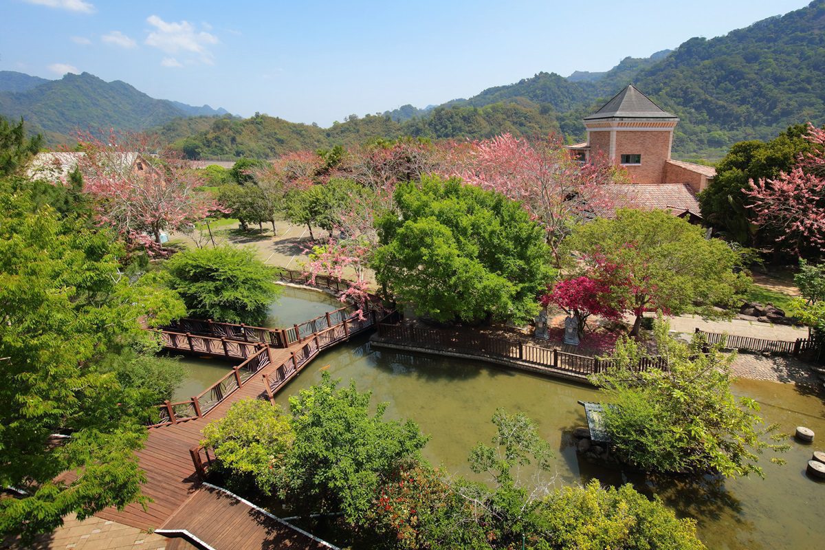 絕美桃紅花旗木登場苗栗大湖「巧克力雲莊」 母親節限定莓果巴斯克新品預購優惠