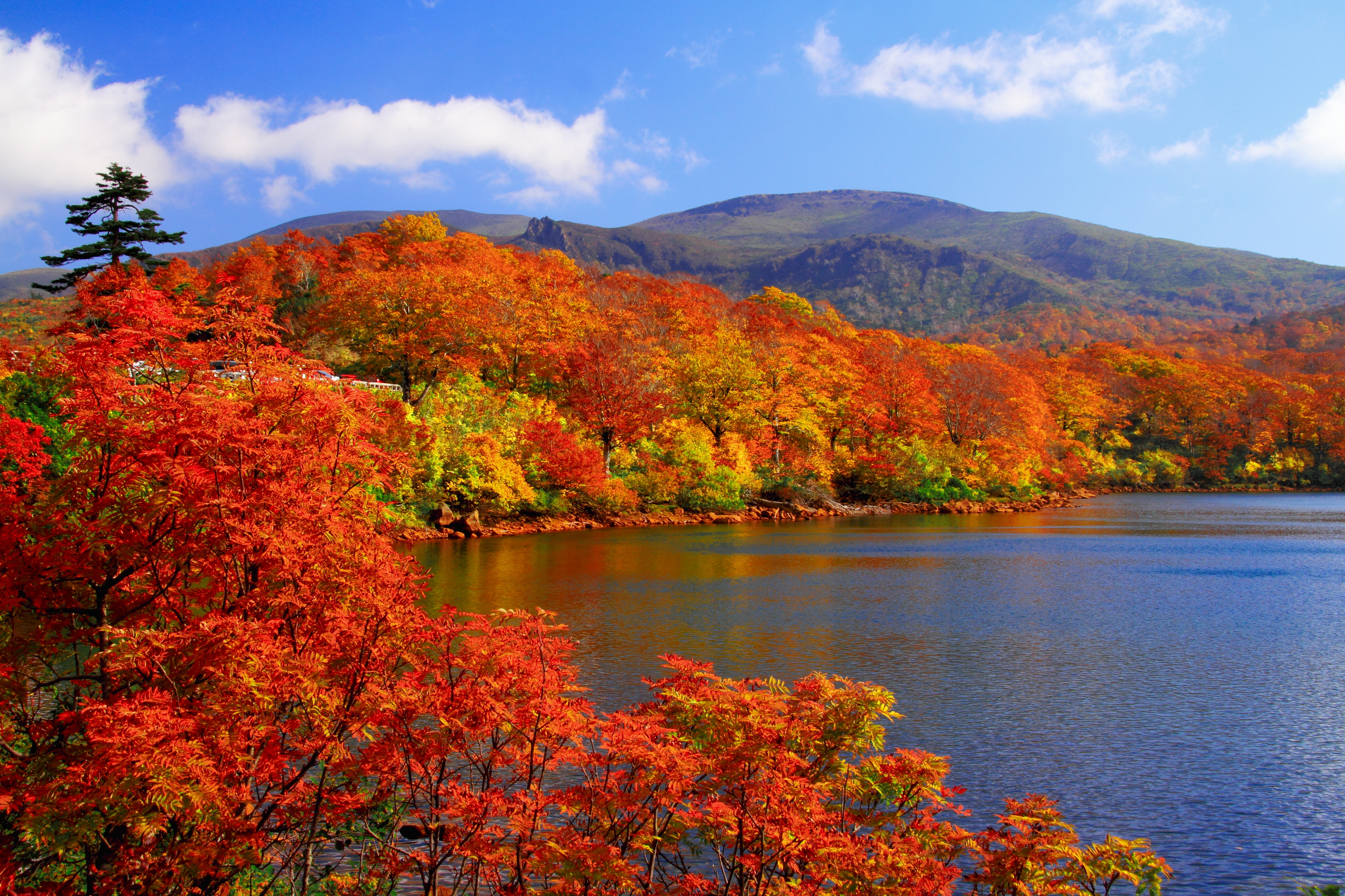景點 ②:栗駒山 (岩手、宮城、秋田縣)
