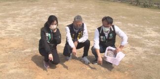 風箏賽場廢棄石塊多 民眾黨要求盡速處理