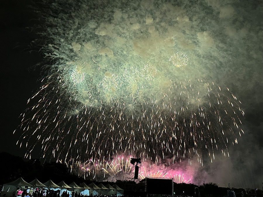 36分鐘焰火秀國慶焰火秀，為台中中央公園夜空點起精采奪目的煙花美景。(圖/記者林均和攝)