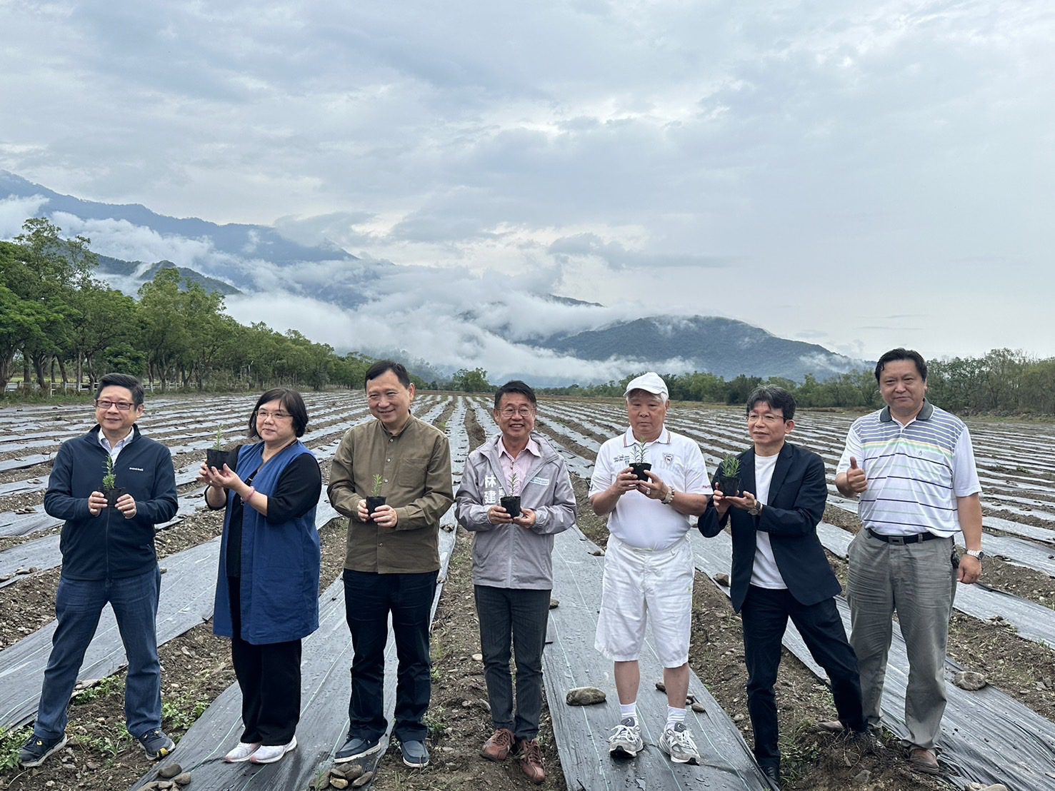 臺東縣政府攜手Blueseeds芙彤園  打造7.8公頃全臺最大薰衣草田