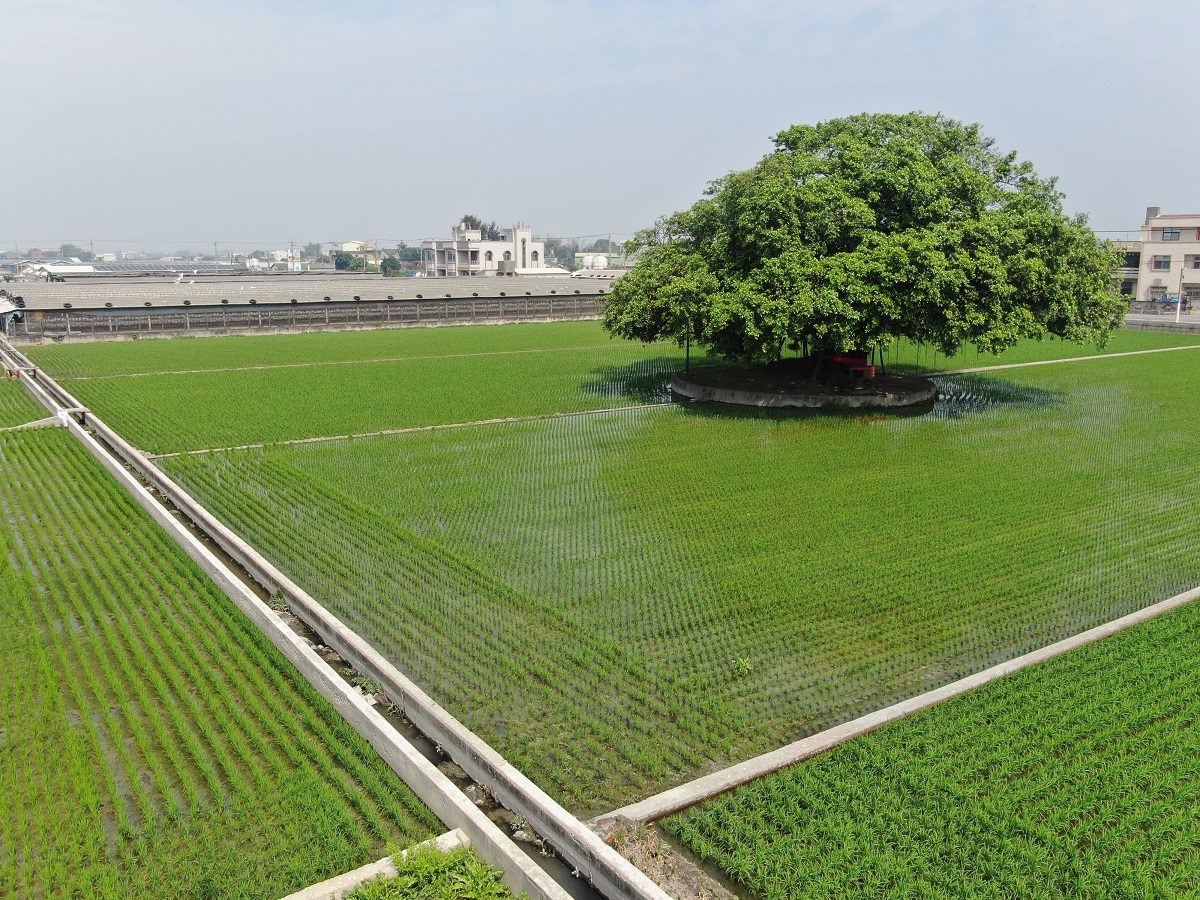 彰縣農地重劃區抵費地及零星集中土地標售　機會有限歡迎鄉親踴躍投標