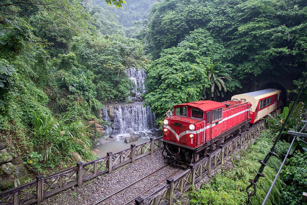 連假出遊首選　搭阿里山小火車漫遊雲霧森林