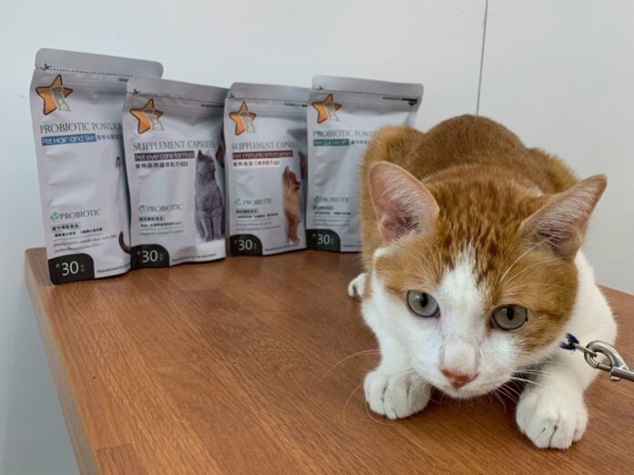 c43349cb70c2aeed396cf6802b742121