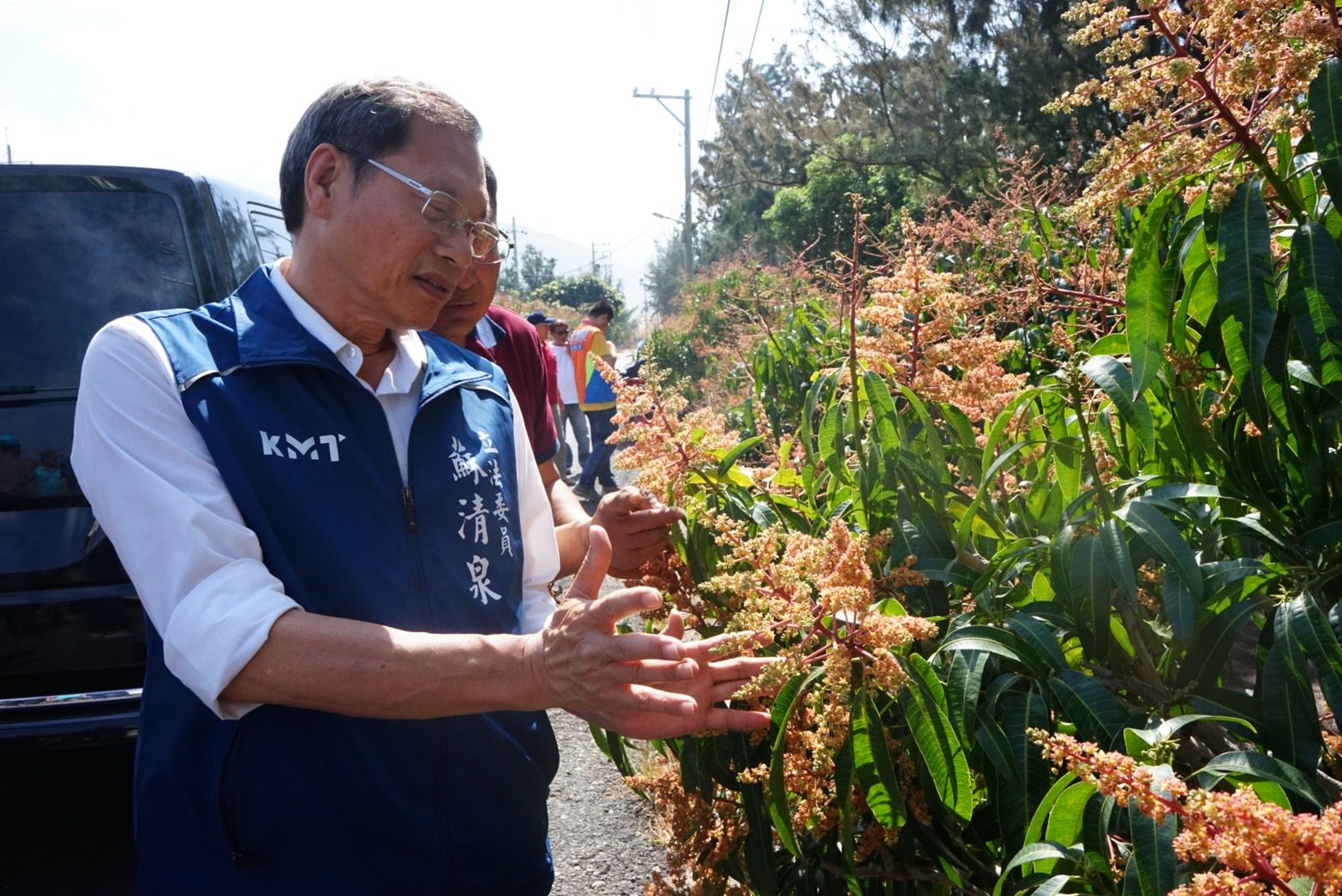 枋山芒果遇蟲災嚴重落果 蘇清泉籲農政單位正視救助