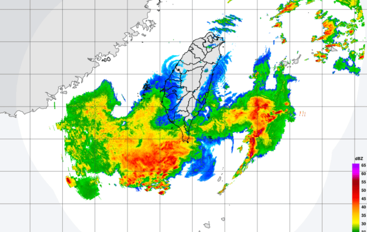 地震＋大雨土壤鬆動　高雄澄清湖路樹倒塌壓死遊客