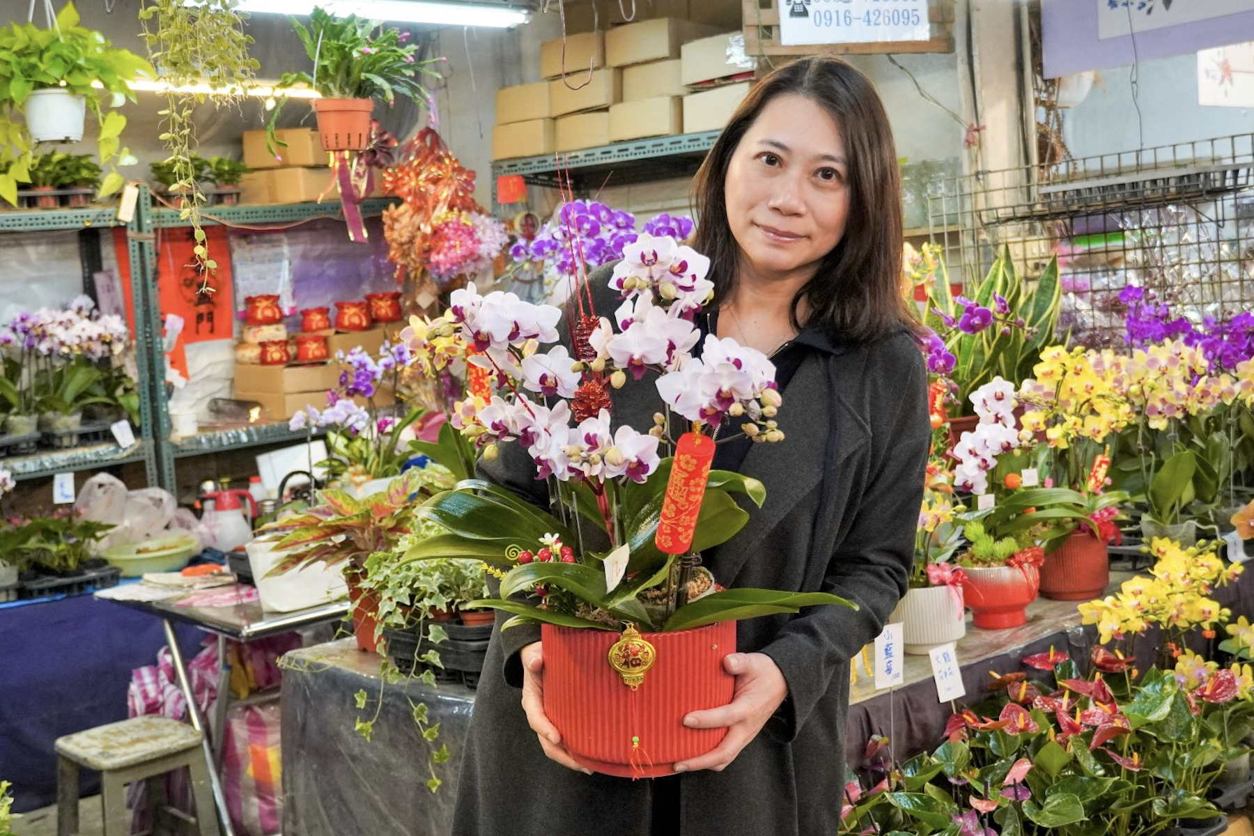 春節團圓添花香     板橋花市延長營業迎接新年氣息