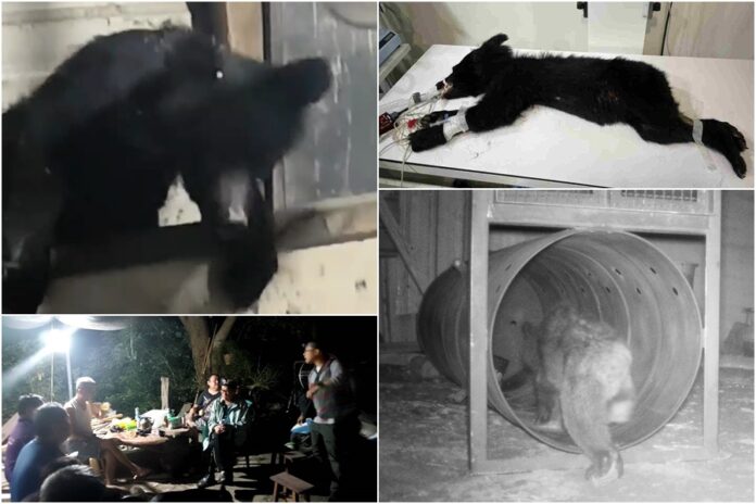 ccf3a6dd5e18733b051dc27ff1c30737