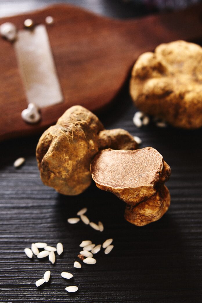 ccfaf5059e6d84f5ad716d79d79d313b