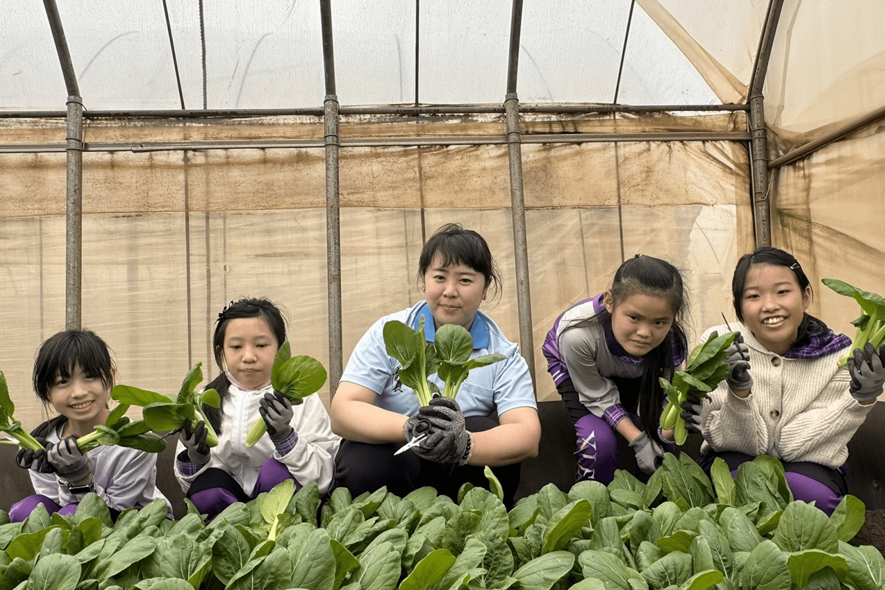 新北青農食農教育     愛心義賣助社福