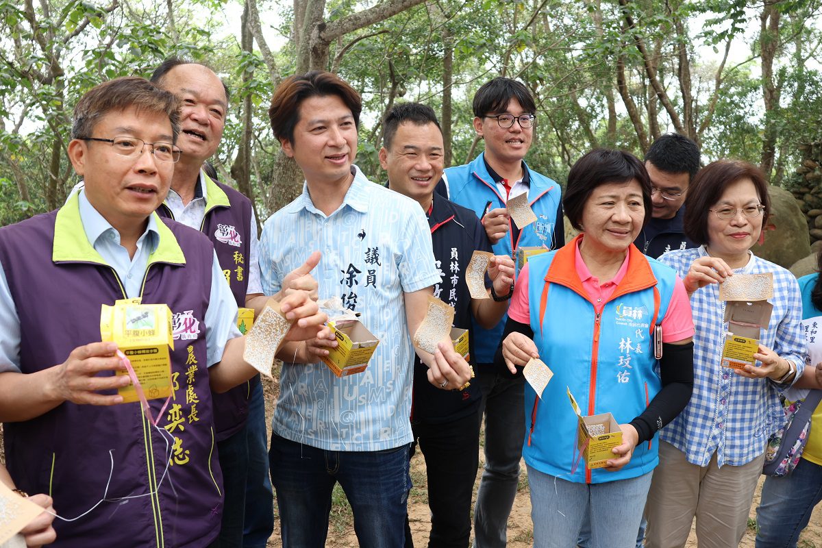 員林市釋放平腹小蜂　解決荔枝椿象危害問題