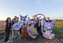 桃園仙草嘉年華揭幕 9大「酷洛米」主題裝置穿梭浪漫紫色花海