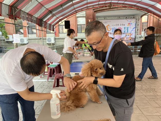新竹縣狂犬病預防注射及寵物登記巡迴活動將於11月23日在峨眉鄉登場。（圖/新竹縣政府提供）