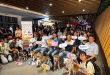 「FurMi 毛孩健康卡」打造全台第一個寵物生態系!整合醫療、美容、購物、金融,結合AI科技 為毛家庭打造更優質及便利的生活!