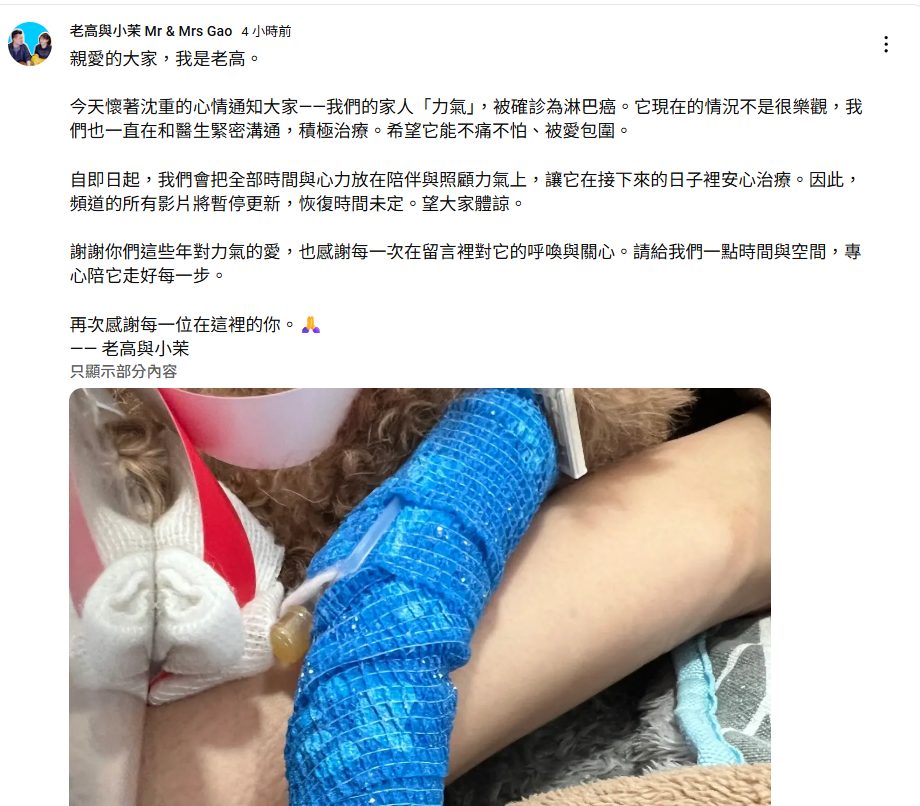 老高宣布頻道將無限期停更。（圖／翻攝老高與小茉YouTube）