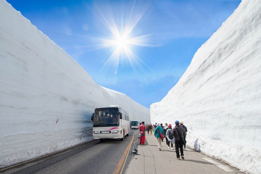 「可樂旅遊正能量攻略！清明四連休、五一補班不擔心，最低價嚐遍全球花季」