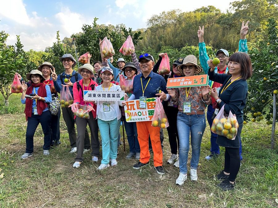 在「湖東休閒農業區」的「多多龍有機農場」以遊園車認識果園，最後還可以帶回親自採摘的水果。(圖記者林均和攝)