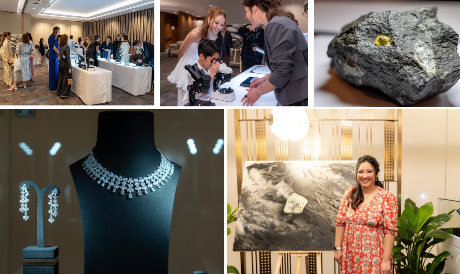 The exclusive"Natural Diamond Workshop" for our distinguished guests has concluded, leaving attendees with unforgettable experiences in diamond exploration.