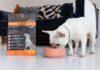 ▲ureLUXE 循味 天然無穀犬貓糧(力奇寵物網路商店獨家代理) 低GI(升醣指數)配方，控制血糖平衡，防止肥胖、降低糖尿病風險。(圖/力奇寵物提供)