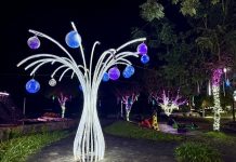 2025礁溪溫泉燈花季浪漫點燈 冬夜光影藝術全面升級