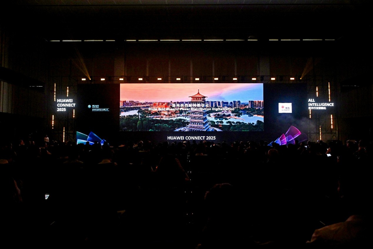 2025 全球電力示範項目