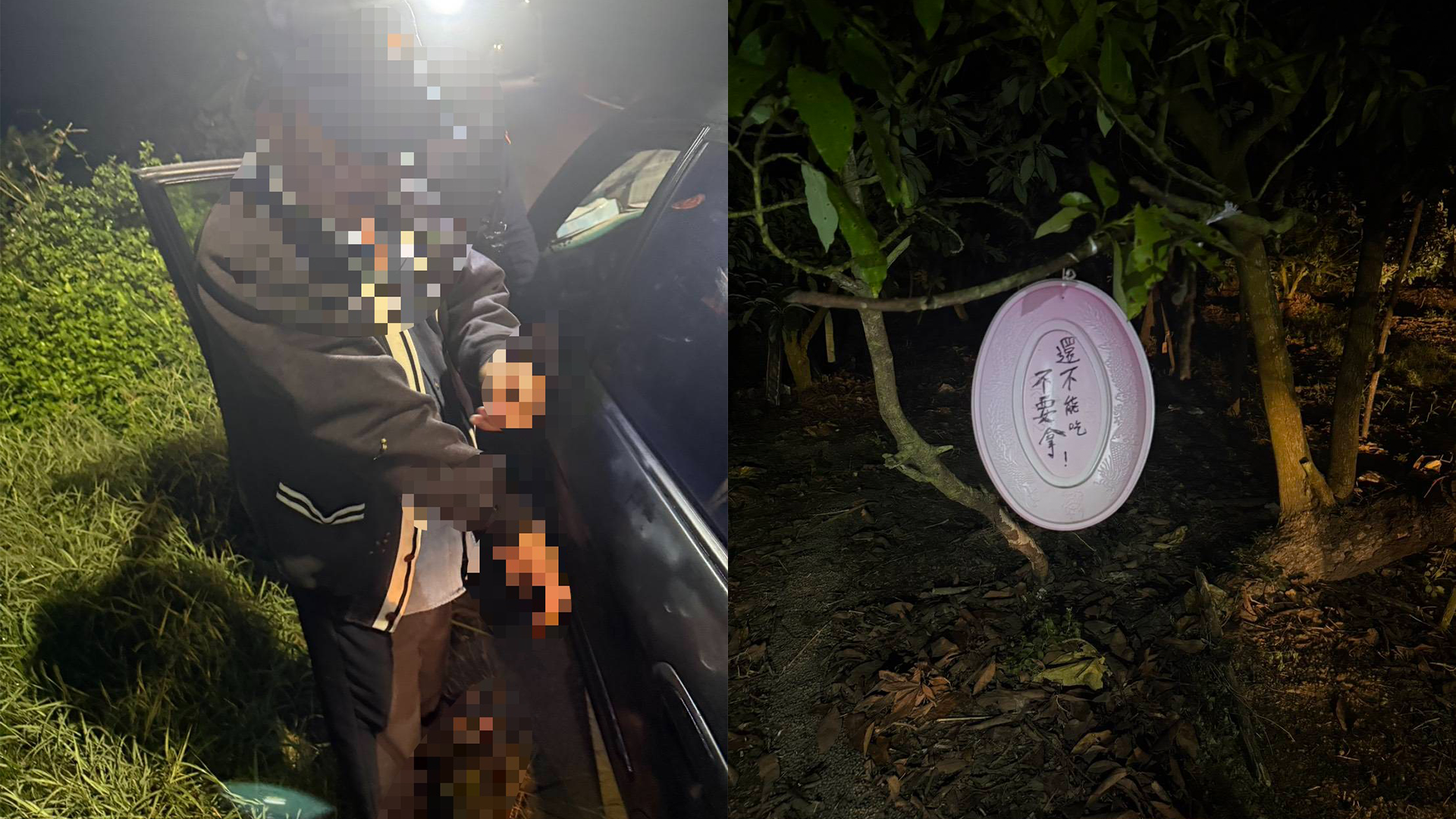 ▲深夜芭樂園驚見黑影！男深夜行竊遭活逮 警一驗「唾液秒變色」毒駕抓包（圖／記者王俊勝 翻攝）