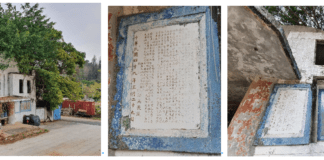 走入小徑 發現你不知道的金門風景