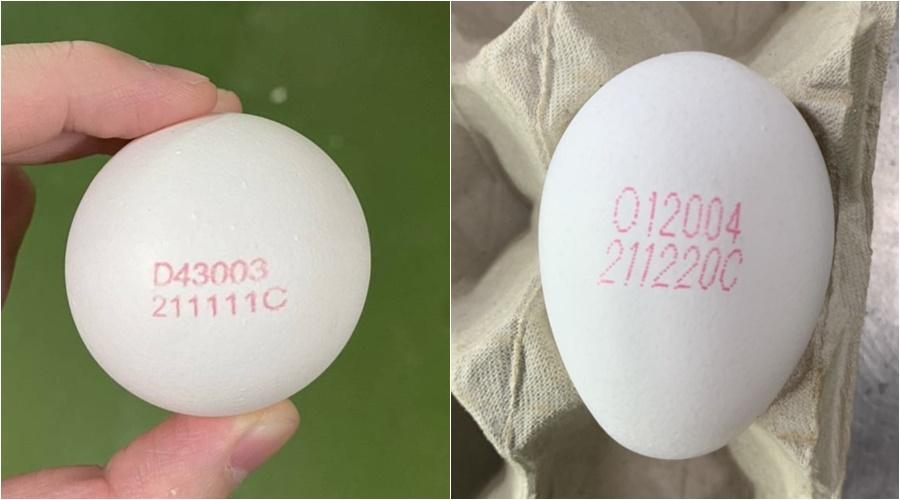 確保產製消權益  洗選鮮蛋逐顆噴印標示111年元旦啟動