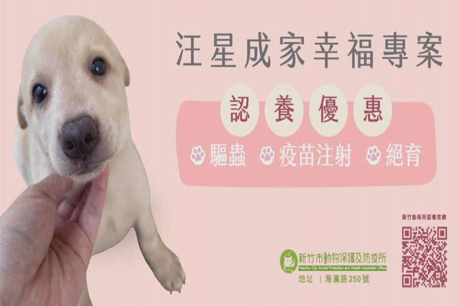鼓勵認養代替購買  竹市祭首年免費寵物保險